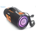 Party Speaker Factory - OEM/ODM Professional Manufacturer 15 Inch TG427