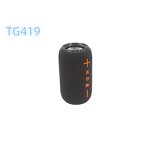 Outdoor Party Speaker Factory - Lower Price Portable BT TG419