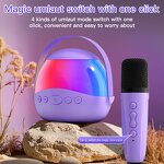 USB BT Karaoke Speaker Factory - New P9 Dual Microphones RGB LED Mini