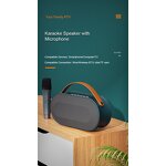 Karaoke Microphone Factory - 2025 New P10 BT Portable Speaker