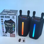 Portable Outdoor Speaker Factory - OEM 6.5inch Wireless 2 Mic Karaoke DJ