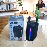 Portable Outdoor Speaker Factory - OEM 6.5inch Wireless 2 Mic Karaoke DJ