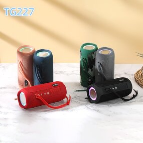 Outdoor Speaker Factory - Good Price Good Quality 2 Inch Smart TG227