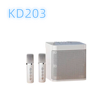 Outdoor DJ Microphone Speaker Factory - Reasonable Price Portable Party