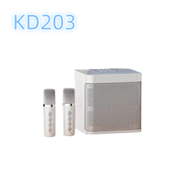 Outdoor DJ Microphone Speaker Factory - Reasonable Price Portable Party