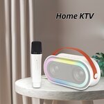 Portable LED Speaker Factory - P6 with 2 Wireless Mics Outdoor Home