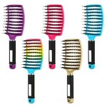 Hairbrush Manufacturer - OEM Women Scalp Massage Bristle Nylon Detangle