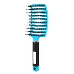 Hairbrush Manufacturer - OEM Women Scalp Massage Bristle Nylon Detangle