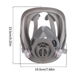 Full Face Gas Mask Manufacturer - OEM Silicone with Activated Carbon Filter