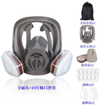 Full Face Gas Mask Manufacturer - OEM Silicone with Activated Carbon Filter
