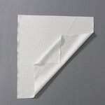 Cleanroom Wipes Factory - OEM/ODM Custom Polyester Lint-Free Printhead Cloths