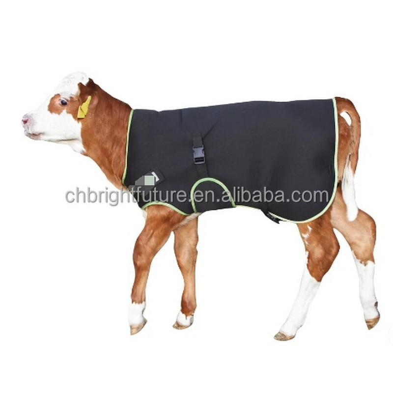 Calf Clothes Manufacturer - OEM Animal Husbandry Waterproof Windproof Warm Coat
