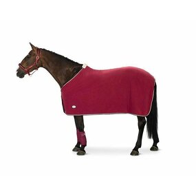 Horse Rug Factory - OEM High Quality Hot Sale Customized Logo Fleece Blanket