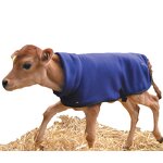 Cow Jacket Factory - OEM Cow Calf Vest Warm Clothes Dairy Farm Cold Protection