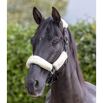 Horse Halter Factory - OEM Lamb Wool Headstall