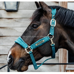Horse Halter Factory - OEM Custom Logo Genuine Leather Headstall High Waist