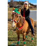 Fly Boots Set Manufacturer - OEM Set of 2 Fleece Rug PVC Mesh Leggings Mask