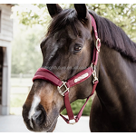 Horse Halter Factory - OEM Custom Logo Genuine Leather Headstall High Waist