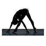 Conductive Yoga Mat Factory - OEM Factory Direct Universal Grounded Mats Exercise