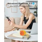 BT Speaker Factory - OEM/ODM Custom EWA A132 Retro Camera 5W 700mAh Wireless Portable