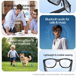 AI Smart Glasses Factory - OEM/ODM Custom S336 1080P Video WiFi BT Call Voice Translation