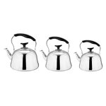 Fast Boil Teapot Factory - OEM Stainless Steel for Home Kitchen Cafe