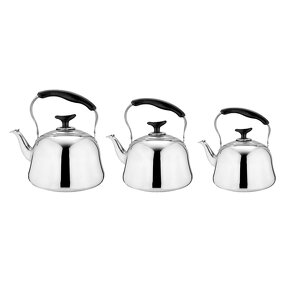 Fast Boil Teapot Factory - OEM Stainless Steel for Home Kitchen Cafe