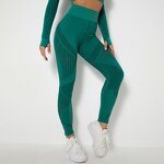 Seamless Yoga Pants Manufacturer - OEM New Knit Quick Dry Hollow-out High-waisted