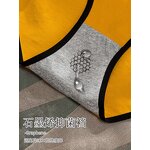 Seamless Panties Manufacturer - OEM Wholesale Low Rise Hipster Plus Size Set