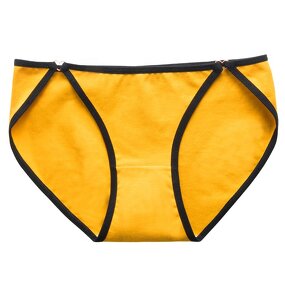 Seamless Panties Manufacturer - OEM Wholesale Low Rise Hipster Plus Size Set