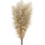 Dried Pampas Grass Bouquet Manufacturer - OEM Elegant Natural for Wedding Christmas Decorations