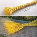 Dried Wheat Stalks Factory - OEM Hot Selling Natural for Wedding Home Kitchen Decoration