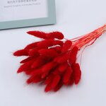 Dried Bunny Tail Grass Factory - OEM Elegant Natural for Wedding Party Christmas Valentine's