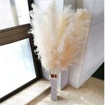 Preserved Pampas Grass Manufacturer - OEM Hot Selling White Real Nature Dried Tall Flower