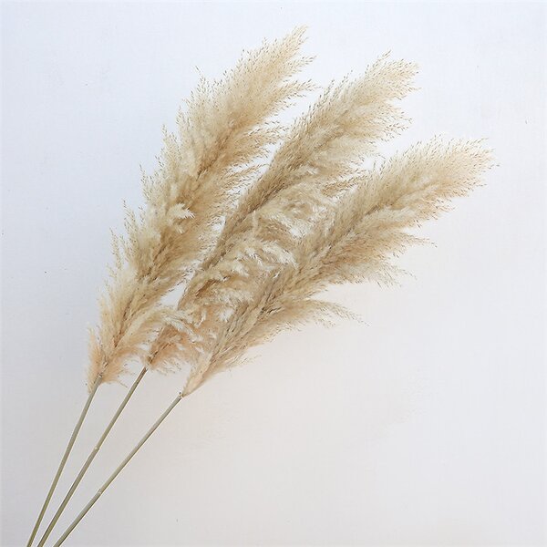 Dried Pampas Grass Bouquet Manufacturer - OEM Elegant Natural for Wedding Christmas Decorations