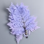 Dried Straw Flower Manufacturer - OEM High Quality Natural Fern Leaf for Wedding Table