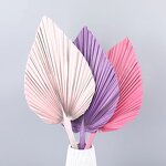 Artificial Fan Leaf Factory - OEM Wholesale Colorful Preserved Natural Large Dry Pink
