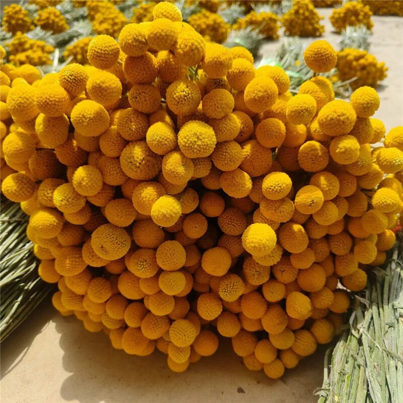 Golden Balls Dried Flowers Factory - OEM Wholesale Eternal Bouquet for Wedding Home Decor