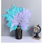 Dried Straw Flower Manufacturer - OEM High Quality Natural Fern Leaf for Wedding Table