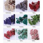 Preserved Rice Flower Manufacturer - OEM Best Selling Wholesale Colorful for Party Decoration