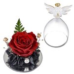 Preserved Rose Dome Manufacturer - OEM Eternal in Angel Glass Cover for Valentine's Day Gift