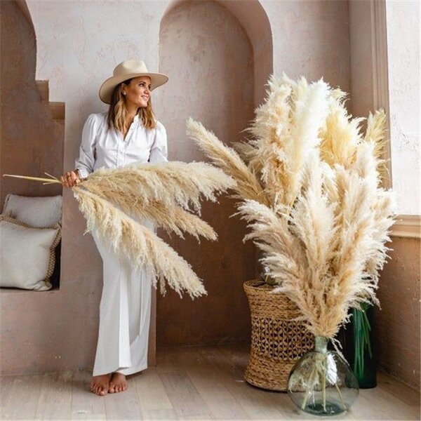 Dried Pampas Grass Factory - OEM Elegant Fluffy for Wedding Home Party Floral Arrangements