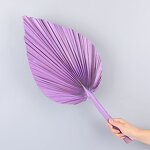 Artificial Fan Leaf Factory - OEM Wholesale Colorful Preserved Natural Large Dry Pink