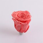 Forever Roses in Box Factory - OEM Romantic Preserve Rose Head for DIY Arrangement Decoration