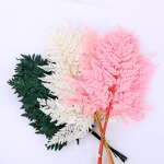 Dried Straw Flower Manufacturer - OEM High Quality Natural Fern Leaf for Wedding Table