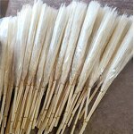 Preserved Pampas Grass Manufacturer - OEM Hot Selling White Real Nature Dried Tall Flower