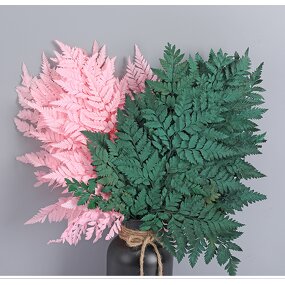 Dried Straw Flower Manufacturer - OEM High Quality Natural Fern Leaf for Wedding Table