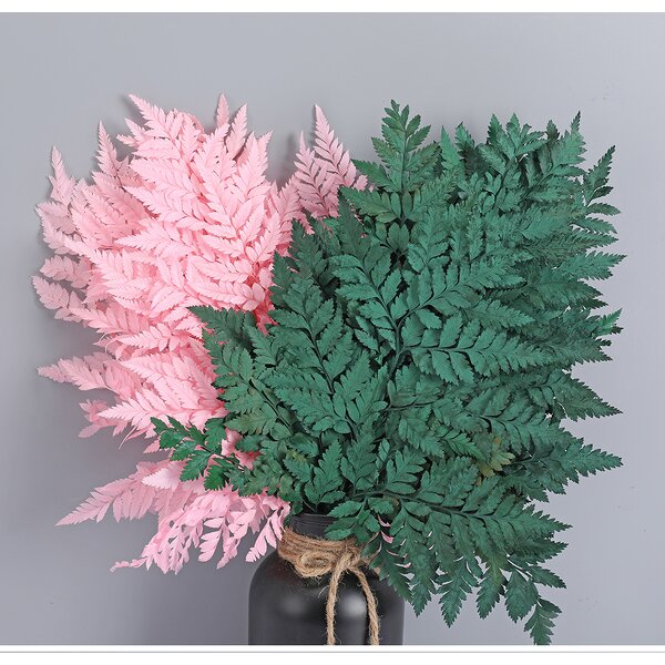 Dried Straw Flower Manufacturer - OEM High Quality Natural Fern Leaf for Wedding Table