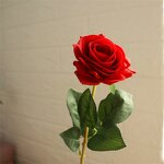 Artificial Roses Manufacturer - OEM for Wedding Table Arrangements DIY Home Decor