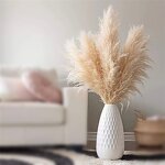Dried Pampas Grass Bouquet Manufacturer - OEM Elegant Natural for Wedding Christmas Decorations